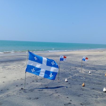 Taca Tucan Hostel بلايا بلانكا المظهر الخارجي الصورة
