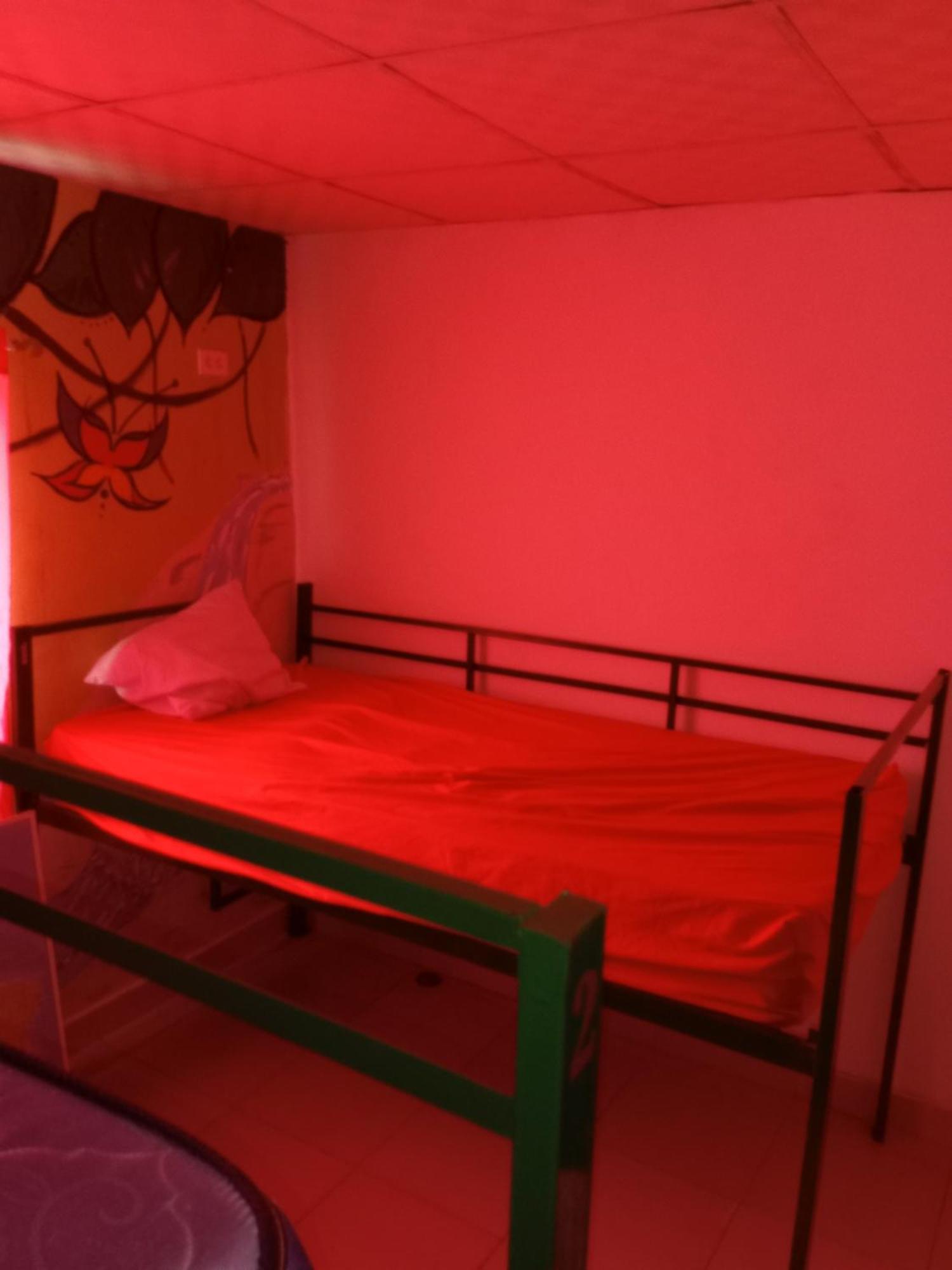 Taca Tucan Hostel بلايا بلانكا المظهر الخارجي الصورة