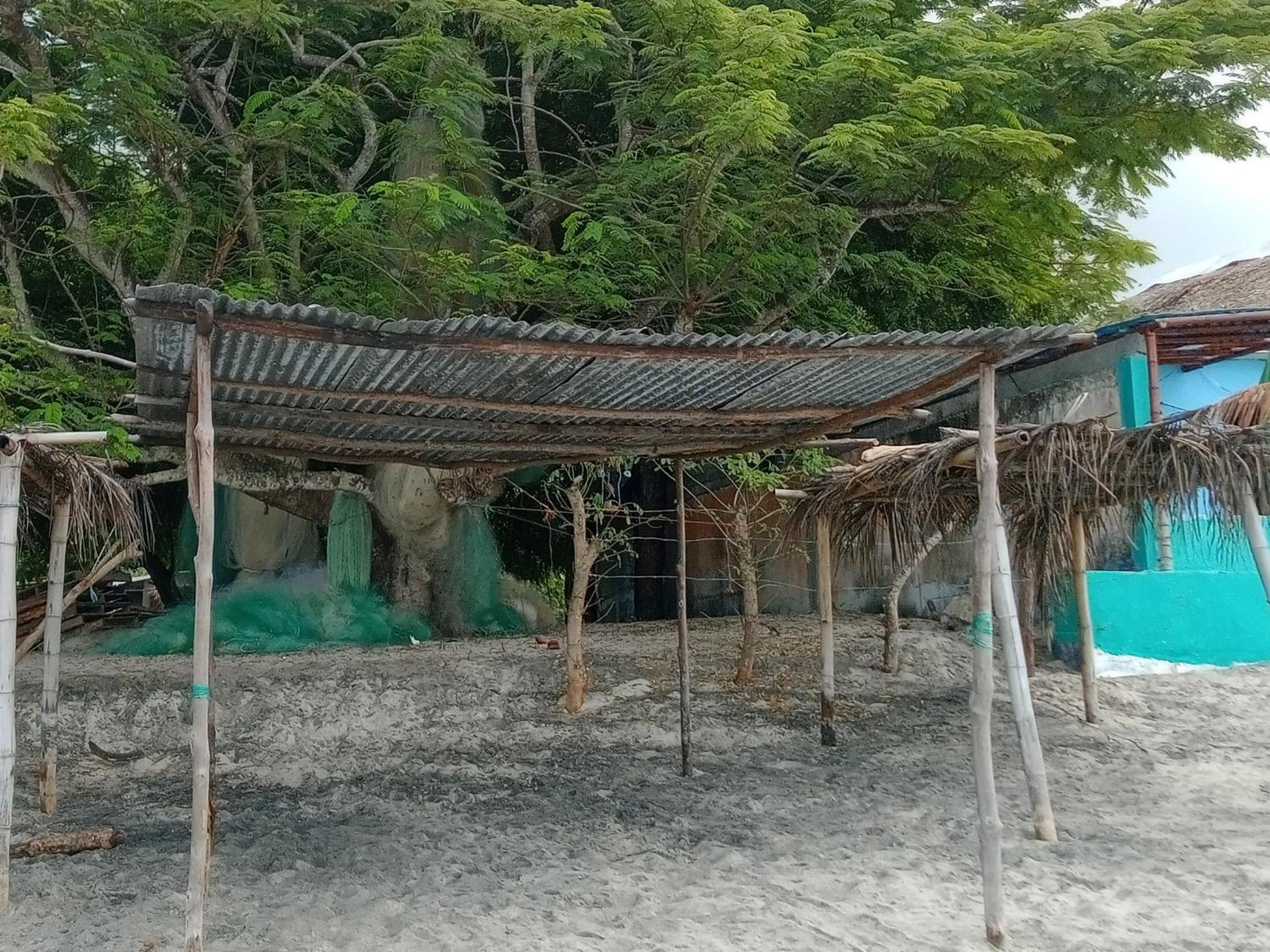 Taca Tucan Hostel بلايا بلانكا المظهر الخارجي الصورة