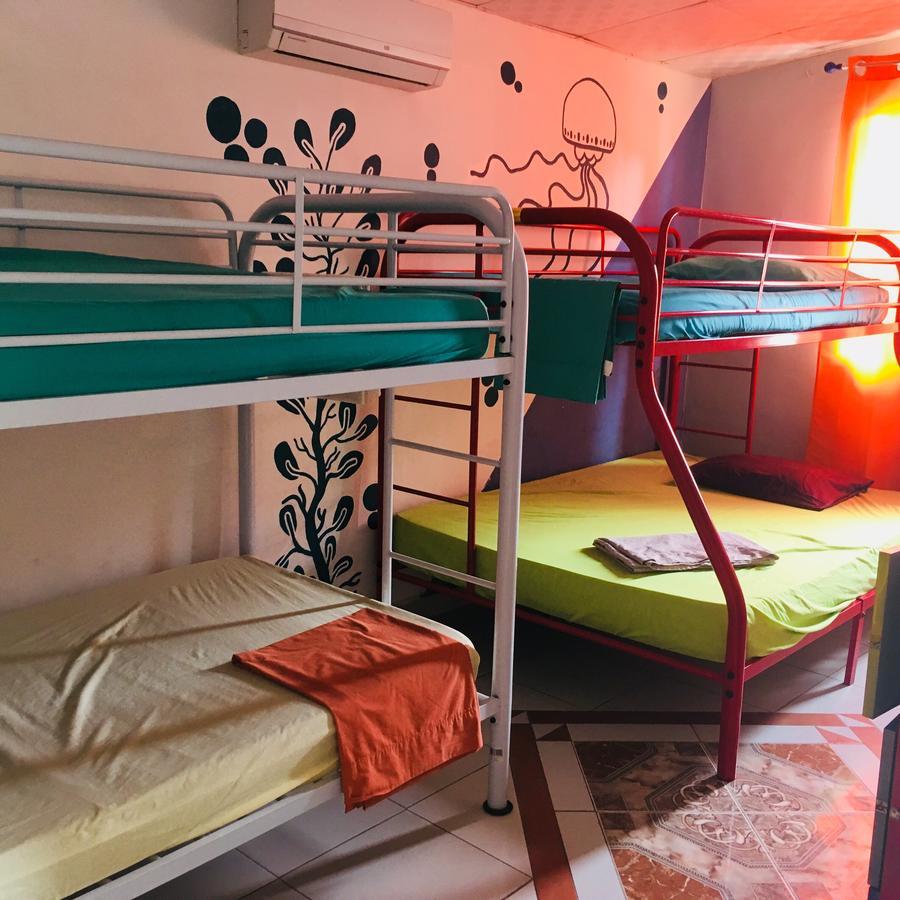 Taca Tucan Hostel بلايا بلانكا المظهر الخارجي الصورة